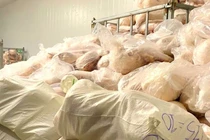 Hộ kinh doanh thịt lợn không rõ nguồn gốc ở Gia Lai bị xử phạt 90 triệu