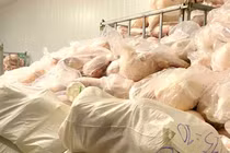 Hộ kinh doanh thịt lợn không rõ nguồn gốc ở Gia Lai bị xử phạt 90 triệu