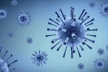 Cúm A bùng phát tại Bắc Ninh, số ca nhập viện tăng đột biến