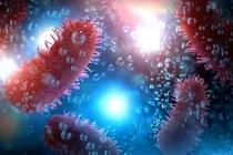 Bị chó cắn không tiêm phòng dại, một trường hợp tử vong tại Lào Cai