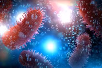 Bị chó cắn không tiêm phòng dại, một trường hợp tử vong tại Lào Cai