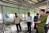 Công ty C.P. Việt Nam thừa nhận ảnh tố heo bệnh là có thật