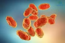 Đau đầu dữ dội, sốt cao, bé trai mắc viêm màng não mủ nguy hiểm