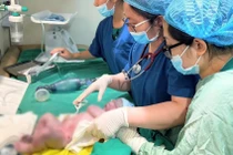 Ca mổ lấy thai đặc biệt cho sản phụ cân nặng 178 kg có nhiều bệnh nền