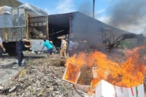 Phát hiện 3.100 kg hàu không rõ xuất xứ ở Quảng Ninh