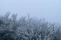 Không khí lạnh tràn về, miền Bắc rét đậm, biển động mạnh