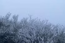 Không khí lạnh tràn về, miền Bắc rét đậm, biển động mạnh