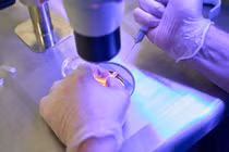 Nghiên cứu đột phá tạo máu nhân tạo từ tế bào gốc phôi