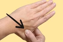 Tết di chuyển nhiều, làm cách nào để tránh say tàu xe?