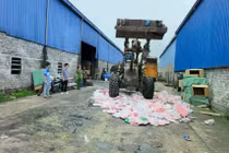 Phát hiện gần 2.000 thú bông Baby Three chứa chất độc hại