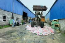 Phát hiện gần 2.000 thú bông Baby Three chứa chất độc hại