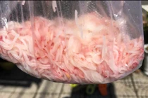 Bún đổi màu đỏ bất thường sau khi người dân mua từ chợ về