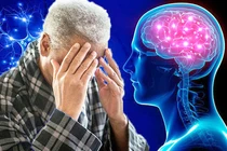 Phát hiện mới về vai trò của lithium trong phòng ngừa Alzheimer
