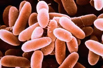 Thanh Hóa cứu sống bệnh nhân uốn ván hiếm gặp sau phẫu thuật