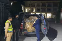 Cao Bằng xử lý hơn 2,2 tấn lá cây thuốc lá khô không rõ nguồn gốc