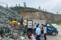 Tạm giữ hơn 1 tấn trứng gà non không xuất xứ ở Móng Cái