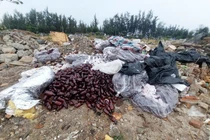 Vứt thuốc bừa bãi, Công ty Cổ phần Dược Trung ương 3 bị xử phạt 97 triệu