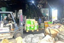 Tiêu hủy hơn 30 tấn thực phẩm đông lạnh bẩn ở Đồng Nai