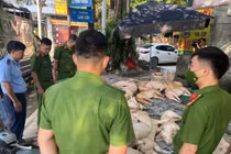 Phát hiện 800 kg thịt lợn bẩn chuẩn bị tuồn ra thị trường