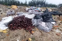 Đà Nẵng phát hiện số lượng lớn thuốc tân dược vứt bên đường