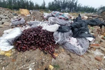 Đà Nẵng phát hiện số lượng lớn thuốc tân dược vứt bên đường