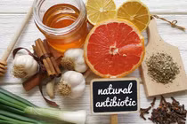 Các thực phẩm tự nhiên có khả năng chống vi khuẩn, hỗ trợ điều trị 
