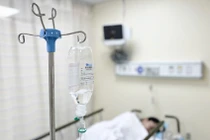 Hơn 300 người tại TP HCM ngộ độc sau ăn bánh mì do vi khuẩn salmonella 