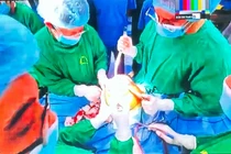 Phẫu thuật thay khớp gối toàn phần theo phương pháp bảo tồn cơ cho cụ bà