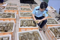 Phú Yên phát hiện, tiêu hủy 1 tấn chả chay không rõ xuất xứ