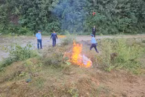 Phát hiện gần 400 kg thịt lợn không rõ nguồn gốc tại Tuyên Quang