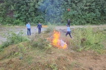 Phát hiện gần 400 kg thịt lợn không rõ nguồn gốc tại Tuyên Quang