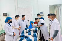 Cứu bé 13 tuổi ngộ độc lá ngón bằng kỹ thuật lọc máu đặc biệt