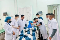 Cứu bé 13 tuổi ngộ độc lá ngón bằng kỹ thuật lọc máu đặc biệt