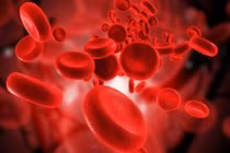 Cách phòng tránh rụng tóc do thiếu hụt vitamin và khoáng chất