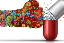 Phát hiện kháng sinh mới chống siêu vi khuẩn kháng thuốc