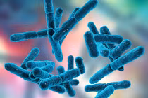 Nguy cơ nhiễm Listeria tăng cao trong thực phẩm chế biến sẵn tại châu Âu