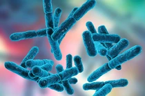 Nguy cơ nhiễm Listeria tăng cao trong thực phẩm chế biến sẵn tại châu Âu