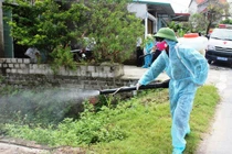 Hà Nội ghi nhận 258 trường hợp mắc sốt xuất huyết tuần qua