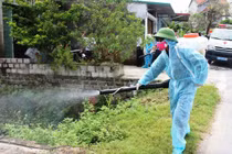 Hà Nội ghi nhận 258 trường hợp mắc sốt xuất huyết tuần qua