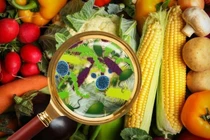 Bộ Y tế yêu cầu các địa phương tăng cường giám sát an toàn thực phẩm dịp Tết 