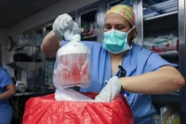 Thành công đầu tiên trong cấy ghép thận lợn cho người tại Mỹ