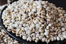 Cục Y Dược yêu cầu thu hồi toàn quốc lô dược liệu ý dĩ kém chất lượng 