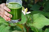 Rau diếp cá có nhiều lợi ích với sức khoẻ