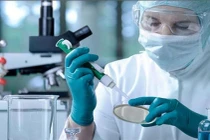 Những bệnh nào có thể chữa bằng tế bào gốc?