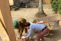 Hà Nội tăng cường giám sát bệnh dại sau ổ dịch mới trên chó