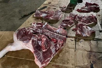 Thanh Hóa phát hiện 1,6 tấn thịt lợn bệnh chuẩn bị tuồn ra thị trường