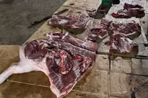 Thanh Hóa phát hiện 1,6 tấn thịt lợn bệnh chuẩn bị tuồn ra thị trường