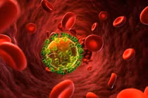 Ảnh hưởng của bệnh lây truyền qua đường tình dục đến thai nhi