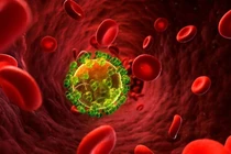 Ảnh hưởng của bệnh lây truyền qua đường tình dục đến thai nhi