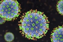 Dinh dưỡng hợp lý giúp nâng cao đề kháng phòng virus Nipah